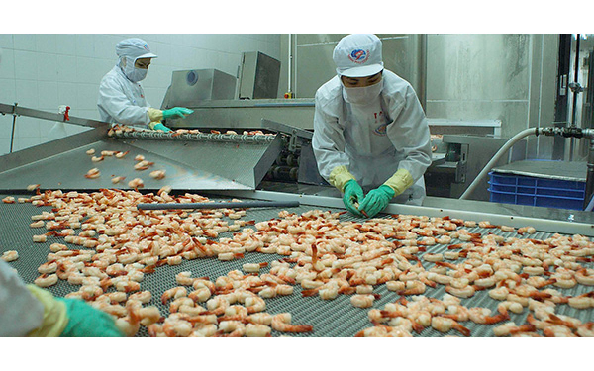 Tăng cường quản l&yacute; an to&agrave;n thực phẩm trong nu&ocirc;i trồng thủy sản